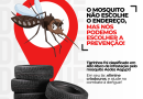 Município é caracterizado com índice de Alto Risco de infestação pelo mosquito Aedes Aegypti